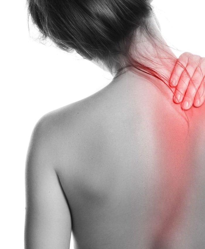 Head, neck and shoulders